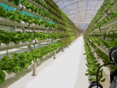grfhydroponic
