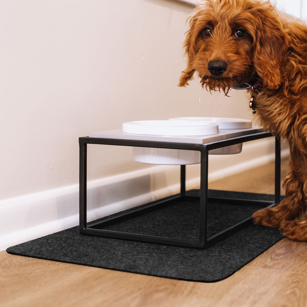dog standing next to food bowl with absorbent placemat below