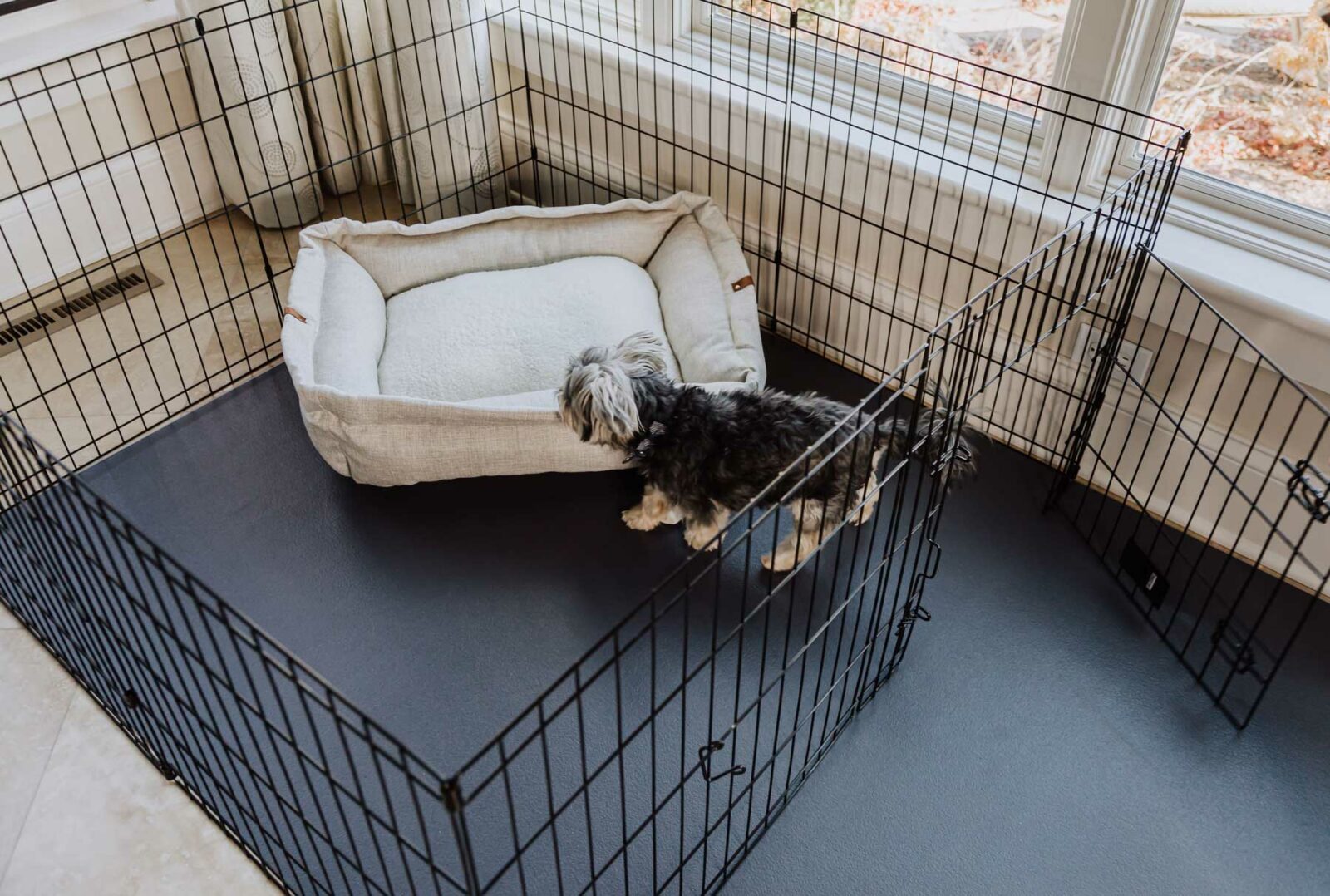 What to Put under Dog Crate to Protect Hardwood Floors?